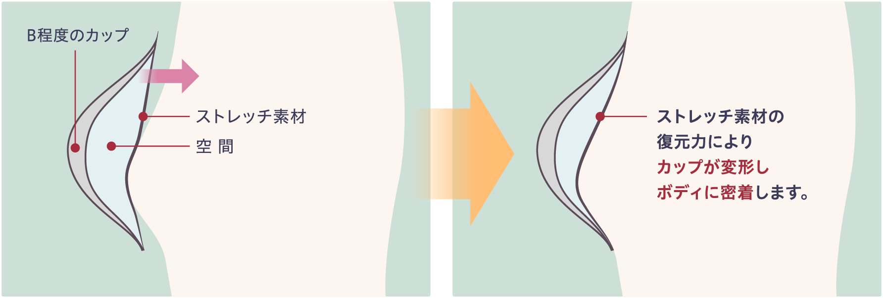 特許取得済みカップ